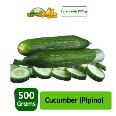 FARM FRESH VILLAGE - Cucumber 500 grams