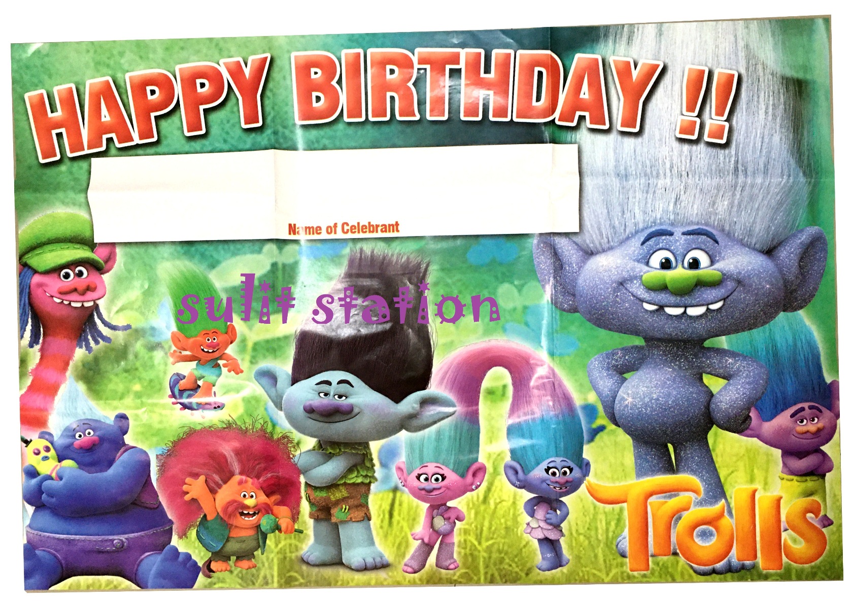 TROLLS PRINTABLE Digital Backdrop, Trolls Birthday Backdrop, Party