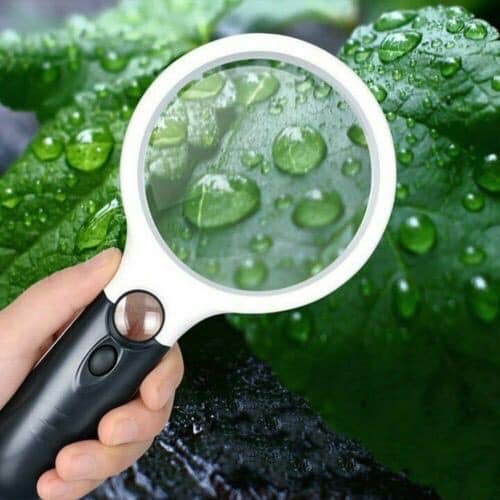 Microscope Magnifying Glass with Light Lazada PH