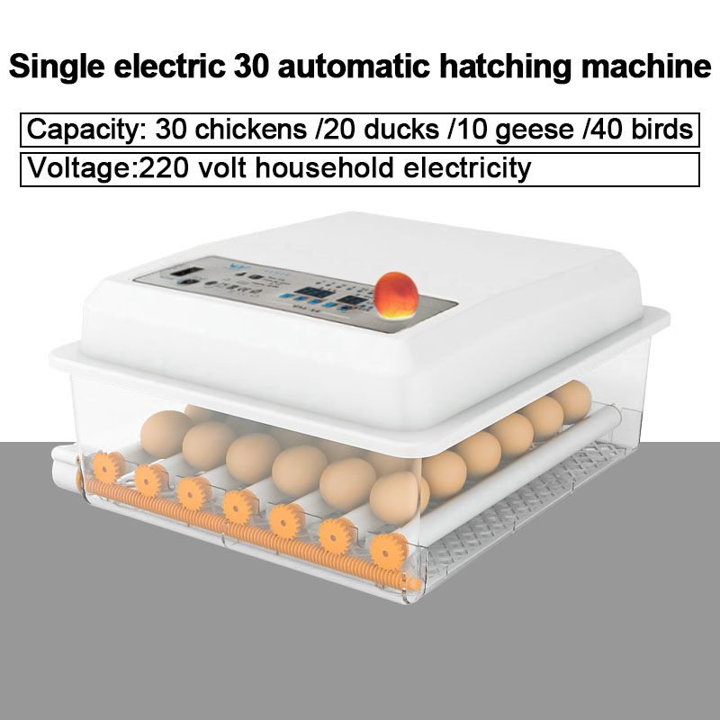 220V 120 Eggs Incubator Digital Automatic Egg Incubator Fully Automatic Egg Incubator Thermostat