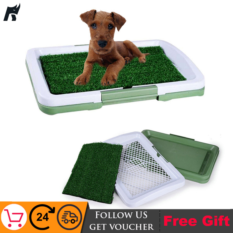 grass litter tray for dogs