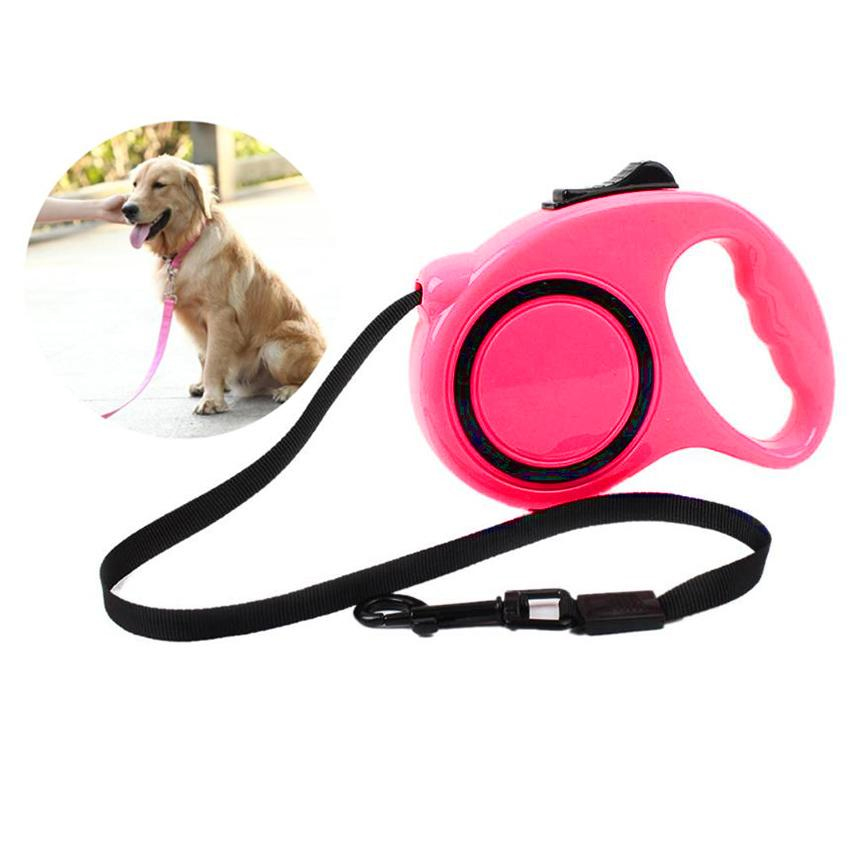dog accessories online