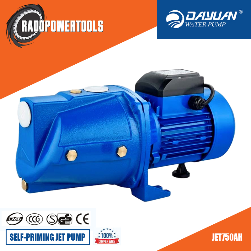 Dayuan SelfPriming Jet Pump 1HP (JET750AH) Lazada PH