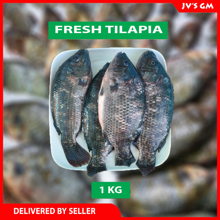 Seafood, Fresh Tilapia Fish, 1KG Lazada PH