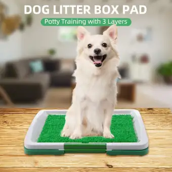 Large Dog Toilet Mat Indoor Potty Puppy Trainer Grass Litter Tray