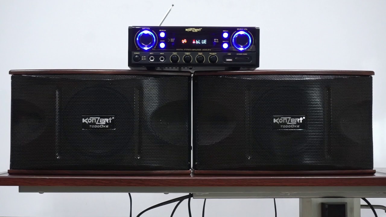 Konzert amplifier 2024 with speaker