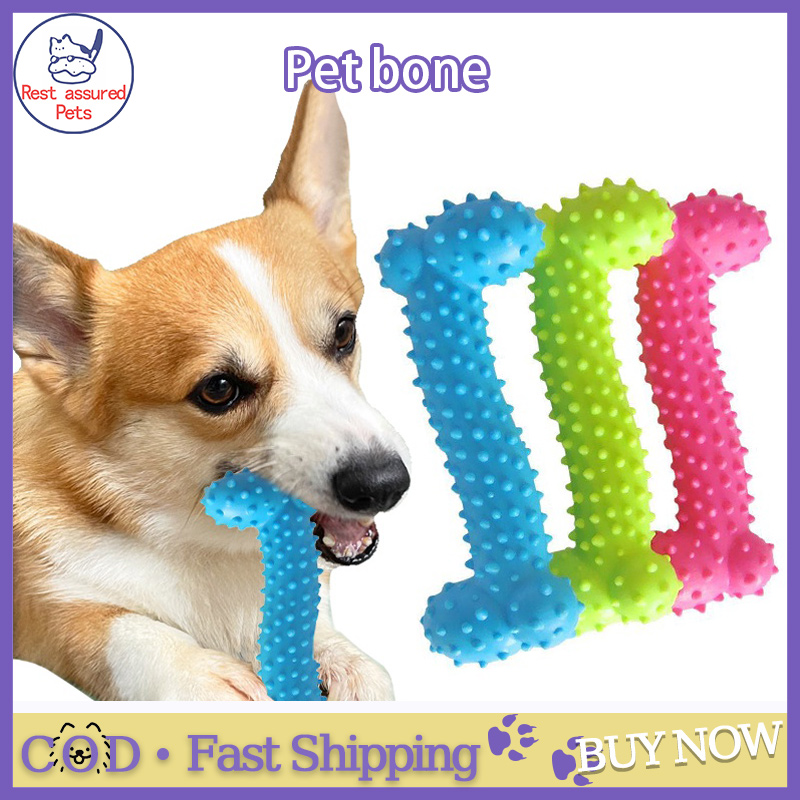 Pet Product Rubber Dog Toy with Thorn Bone Rubber Molar Teeth Pet Toy Dog  Bite Resistant Molar Training Grinding Teeth To Smell