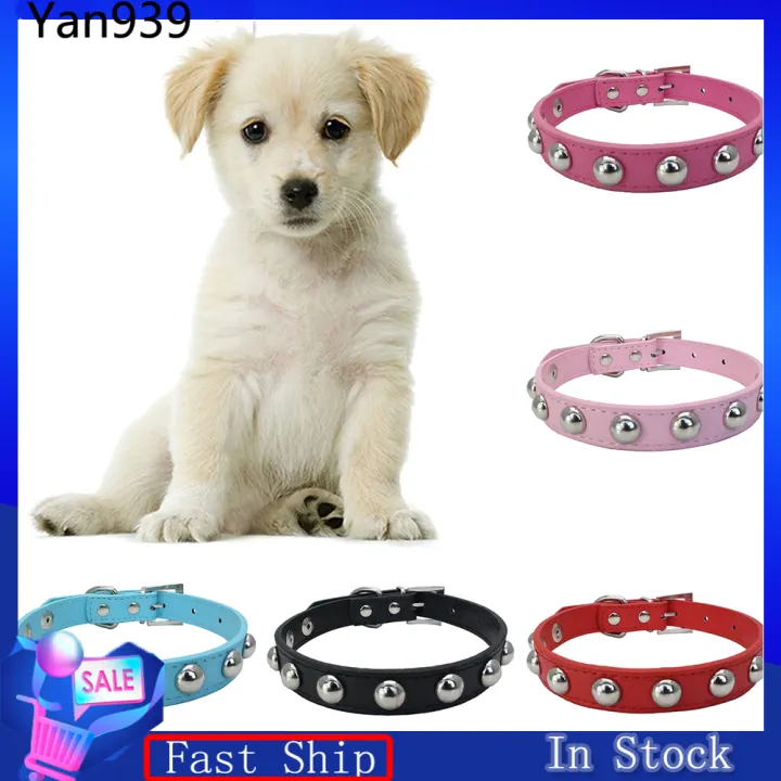 puppy neck belt