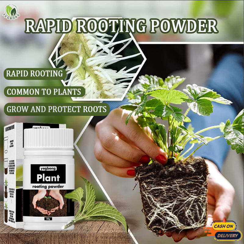 【Rooting powder fertilizer】Rooting hormone powder, fast root, plant growth powder, succulent