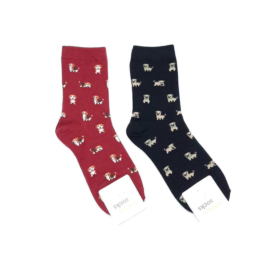 Made in Korea Korean Antibacterial Toes Socks 10Pairs for Men Men