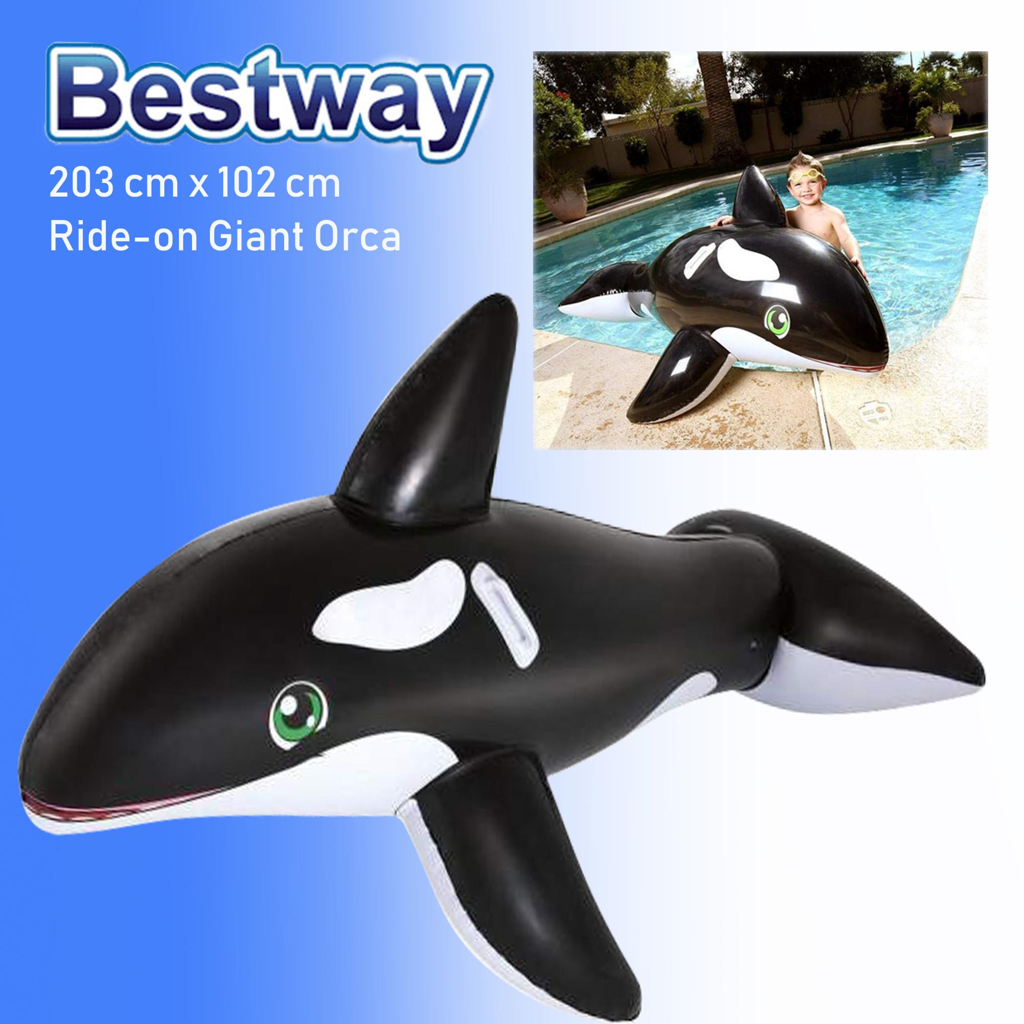 inflatable whale ride