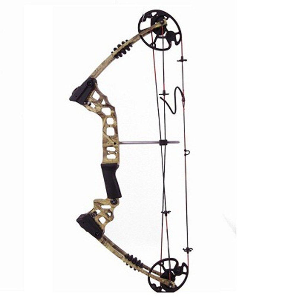 Archery Junxing M120 Dream Compound Bow Set Complete Best Bow Lazada PH