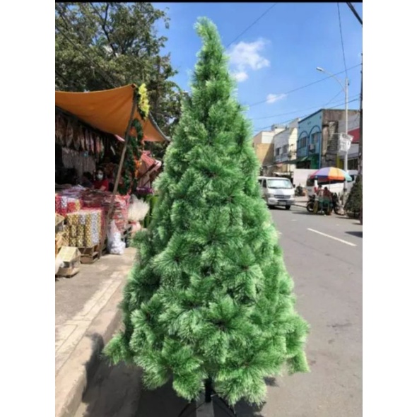 5ft to 10 ft Sugar Pine Design Christmas Tree | Lazada PH