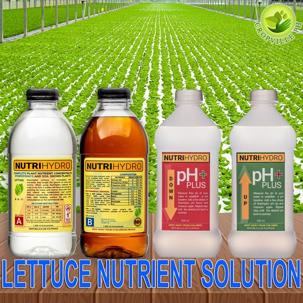 NutriHydro Lettuce Nutrient Solution for Hydroponics Aquaponics Potted