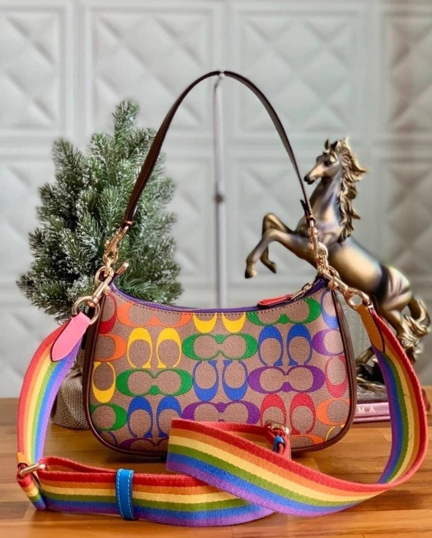 Rainbow coach sale bag