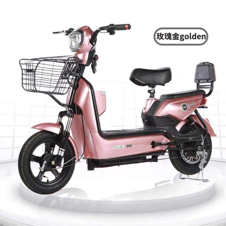 ecobike for sale