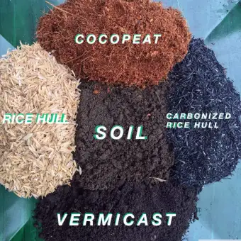 Organic Potting Mix 5kg Buy Sell Online Garden Soil Fertilizers With Cheap Price Lazada Ph