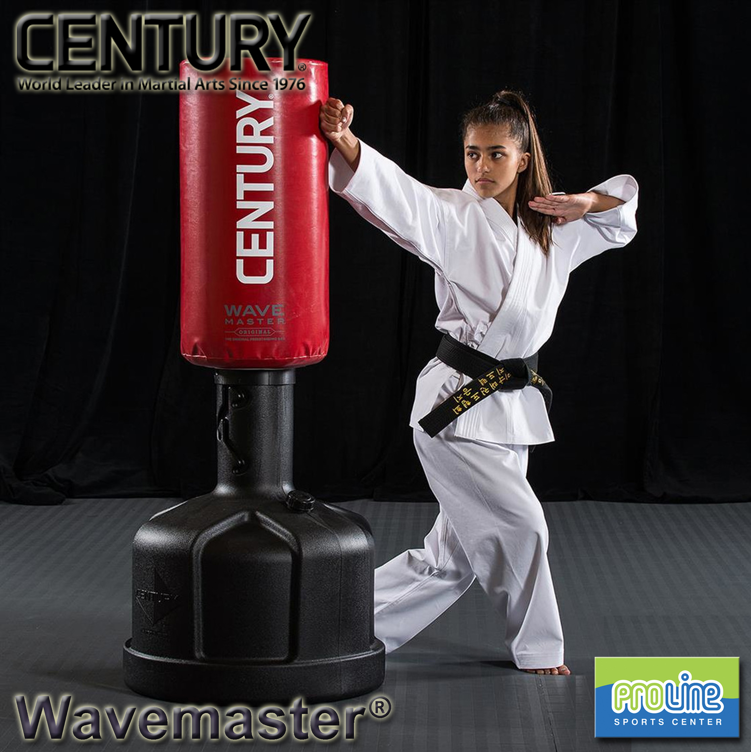 wavemaster standing punching bag