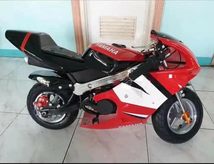 gas powered mini bike for adults