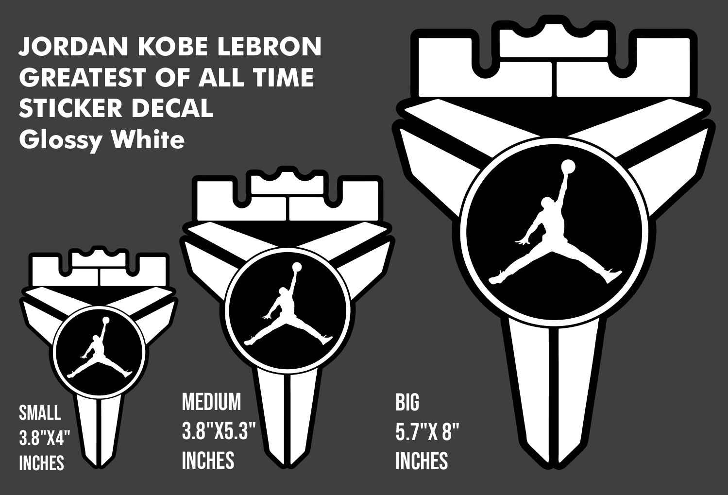 lebron jordan logo