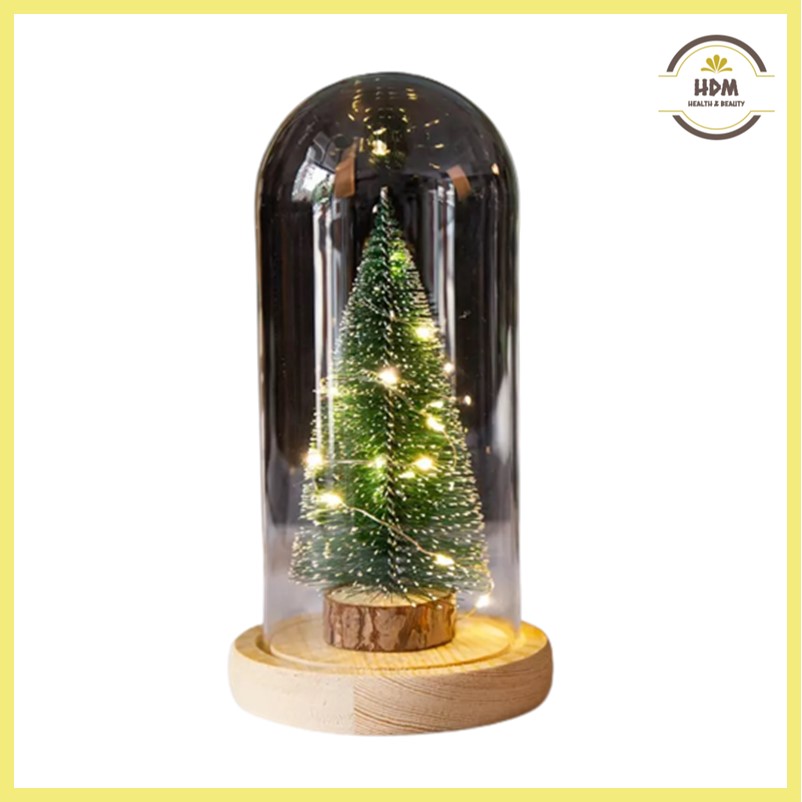 Christmas Tree in Glass Dome with Led Lights Holiday Decorations Gift