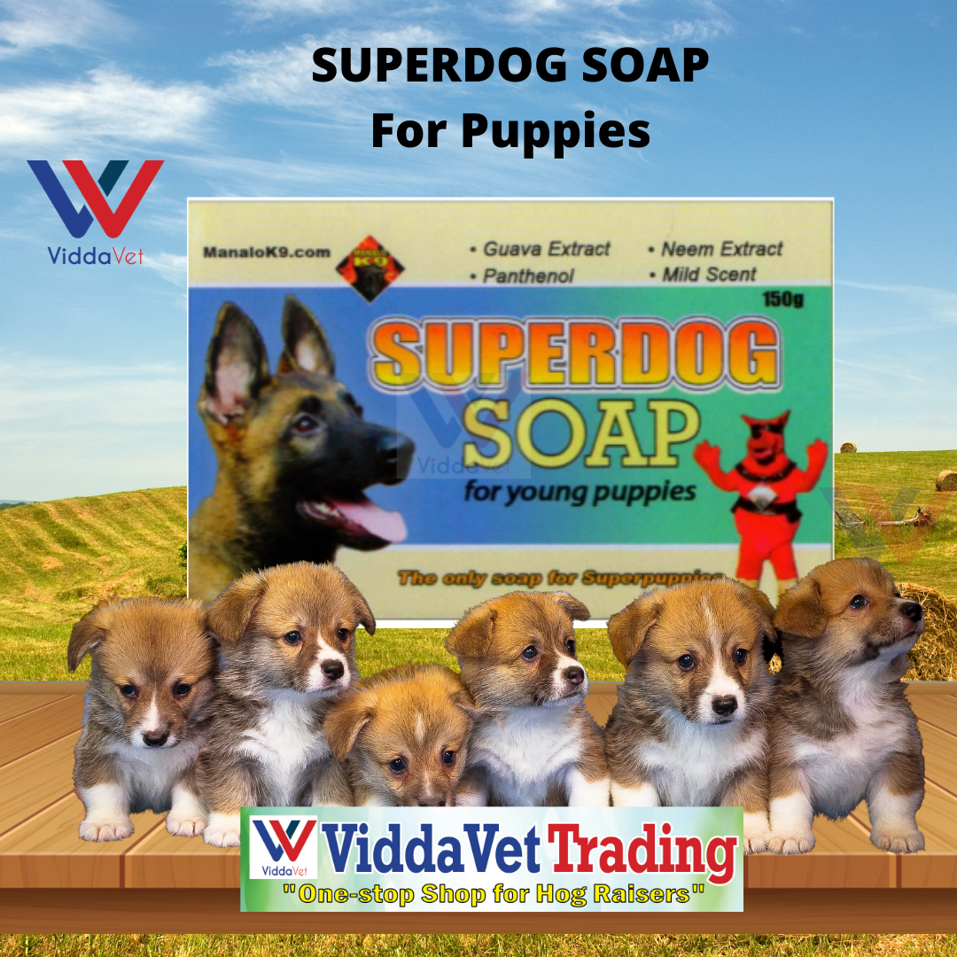 [SOAP FOR PUPPY] 150grams SUPERDOG SOAP FOR YOUNG PUPPIES It deeply