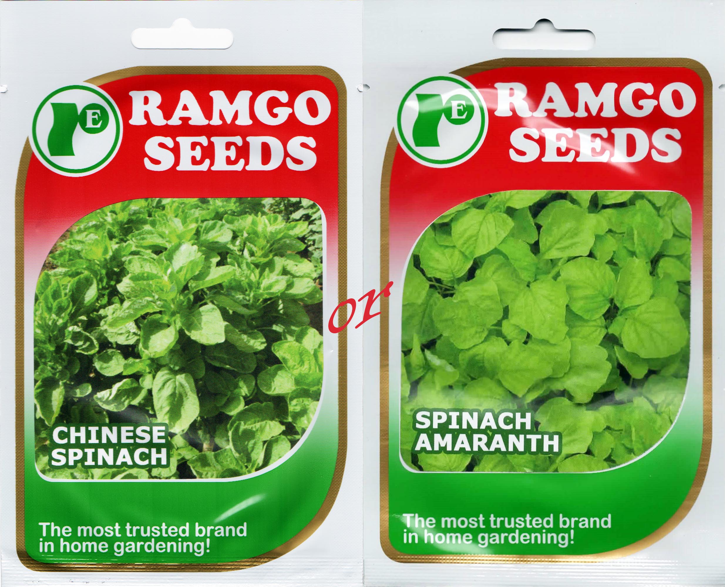 Ramgo Seeds Sold Per Pack Per Variety Spinach Amaranth | Lazada PH