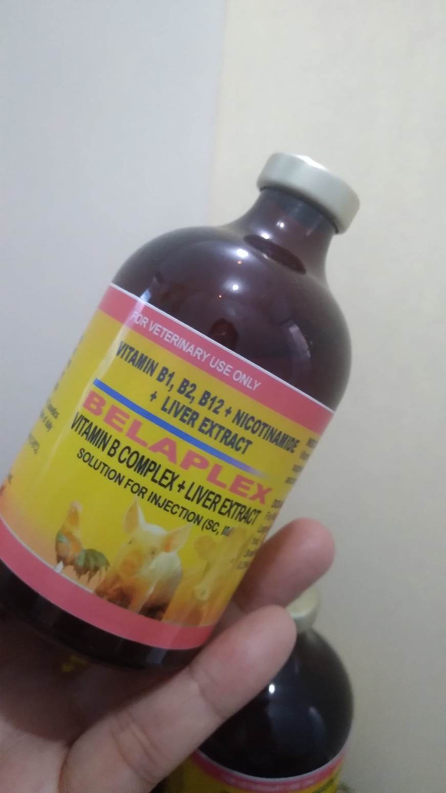 VITAMIN B COMPLEX+LIVER EXTRACT Solution for Injection (SC,IM) 100ml