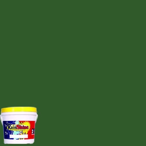 Rain or Shine Elastomeric House Latex Waterproofing Paint Baguio Green