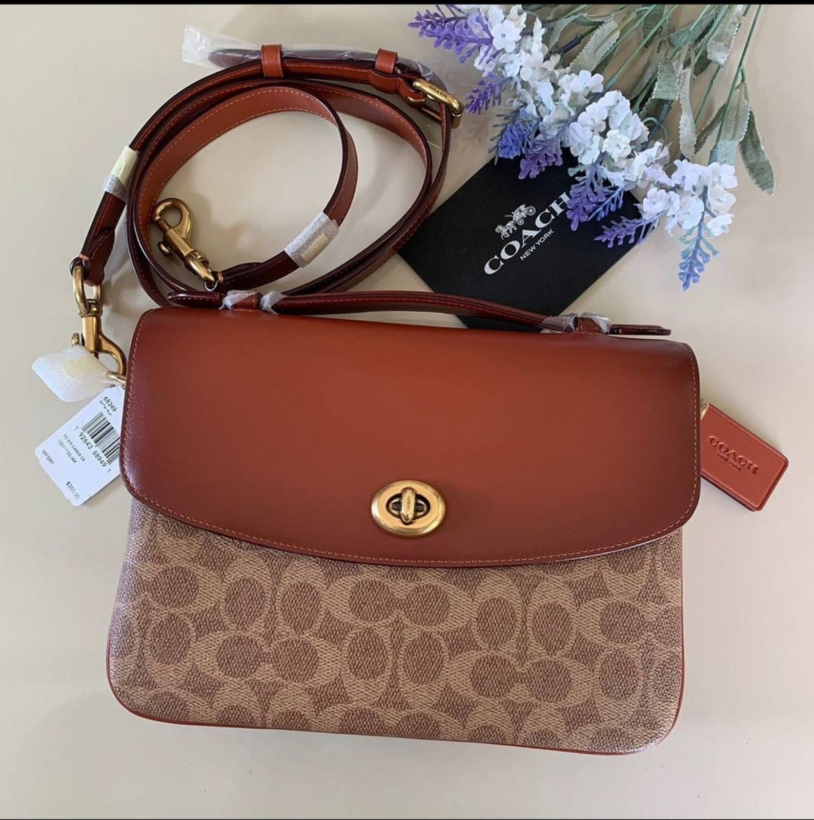 Coach best sale cassie burgundy