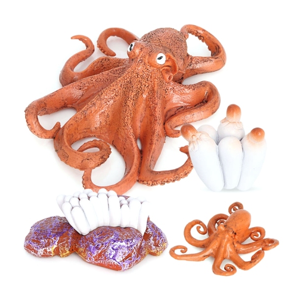 Octopus Growth Cycle,Animal Growth Cycle Biological Model for Kids Education Insect Themed Party Favors