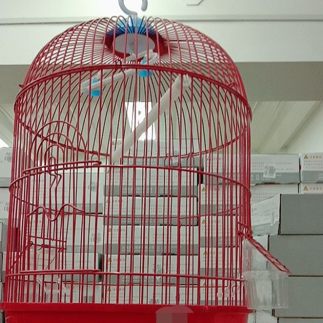 where to buy bird cages