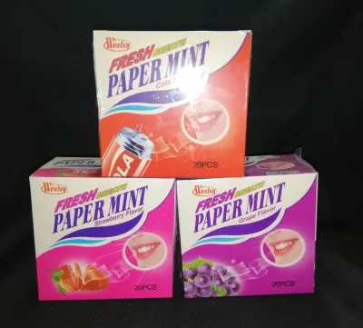 Papermint Mint Strip (20 pcs) Assorted Flavor for Lootbag Filler