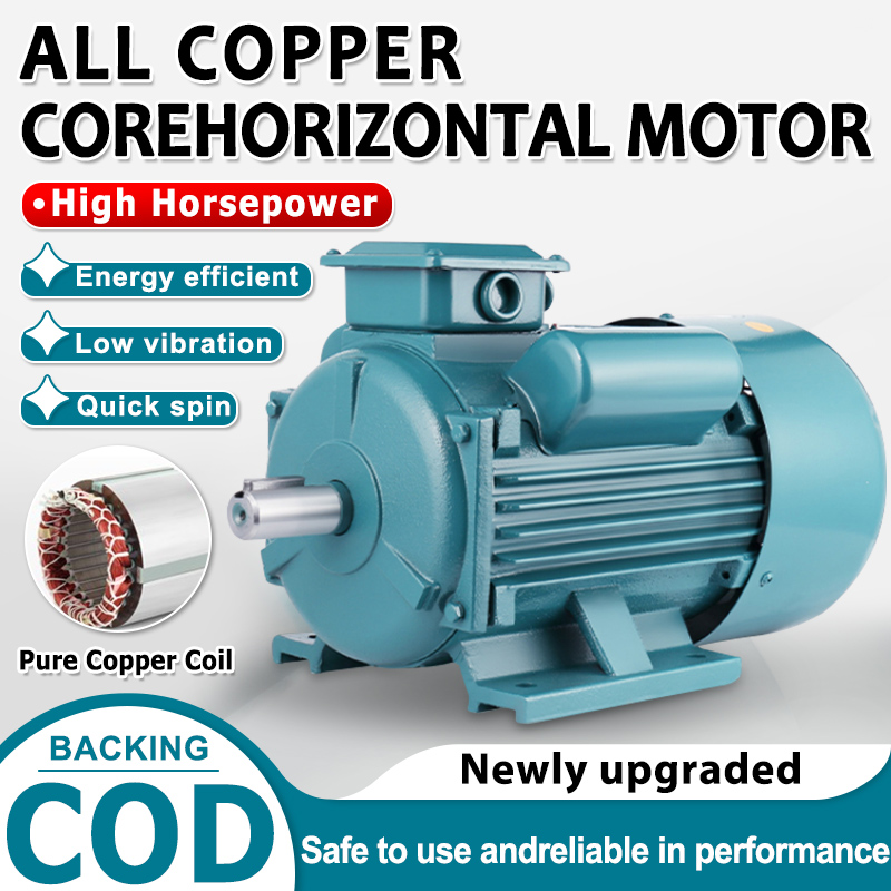 Single Phase Electric Induction Motor 220V Grinder/Meat Grinder Machine