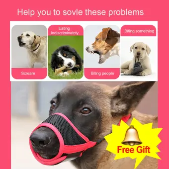 dog muzzle to prevent biting