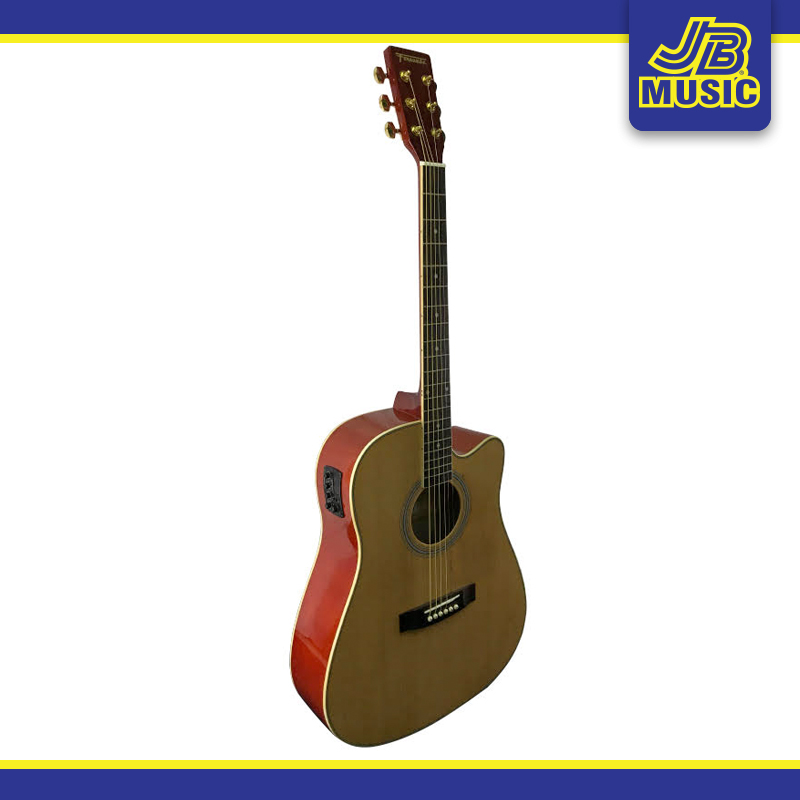 fernando acoustic guitar price