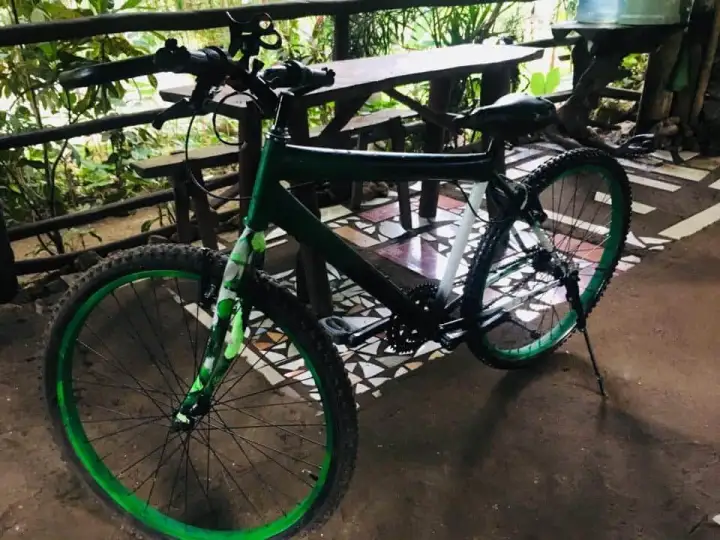 fixed gear bike for sale