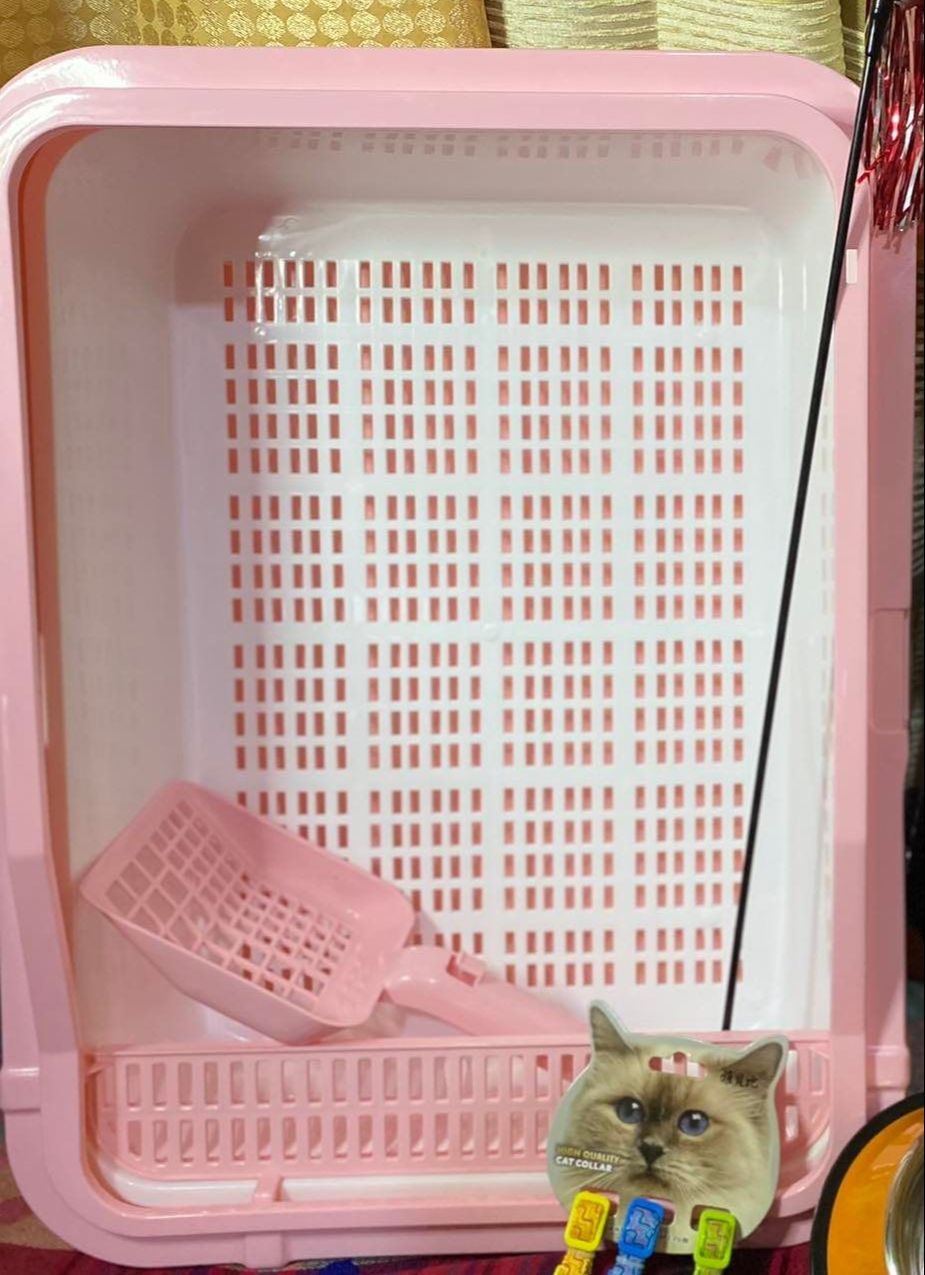 Cat Litter Box ( With strainer and Without strainer) Lazada PH