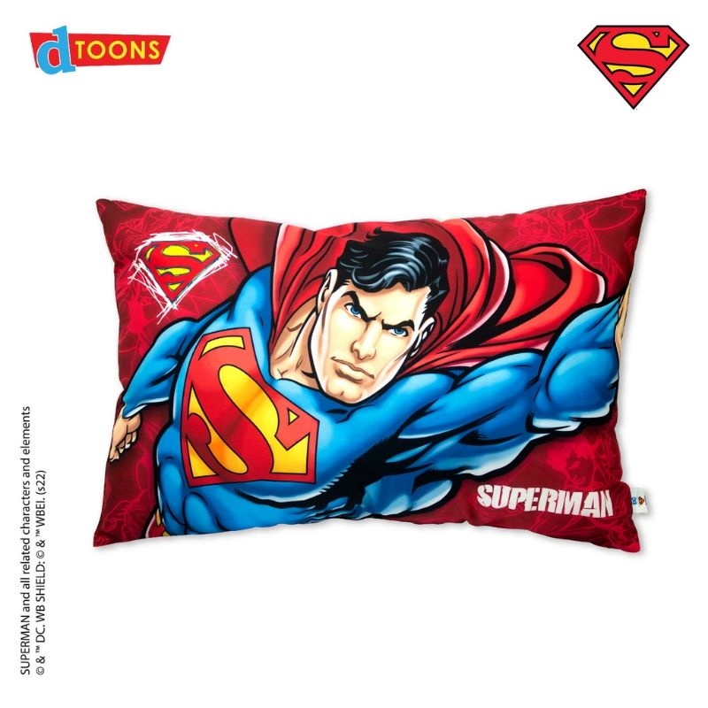 Dakki CHARACTER king pillow 20 x30 (Reg.price 750) Lazada PH