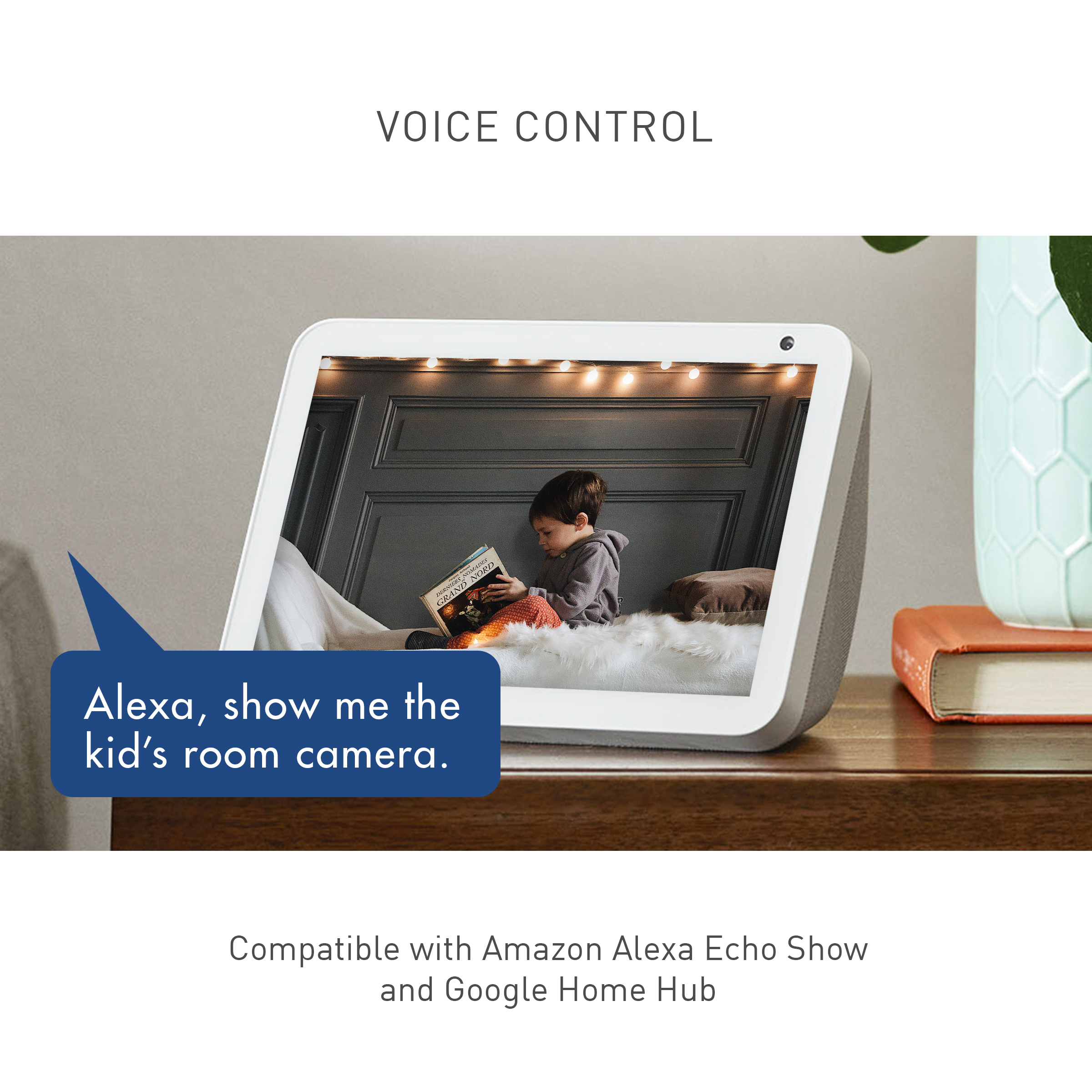 is google home hub compatible with alexa