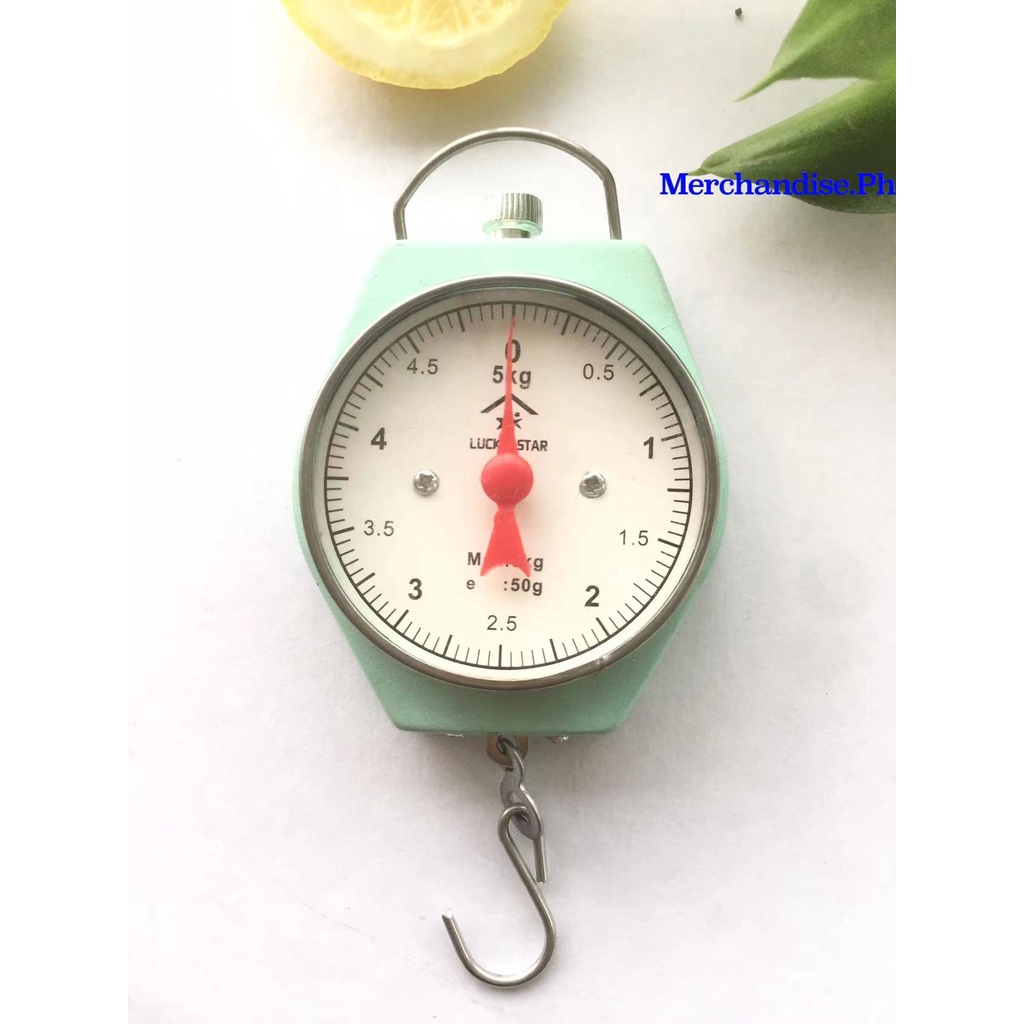 Merchandise.Ph 10kg / 5kg Home MINI scales Portable Weighing Scale Home