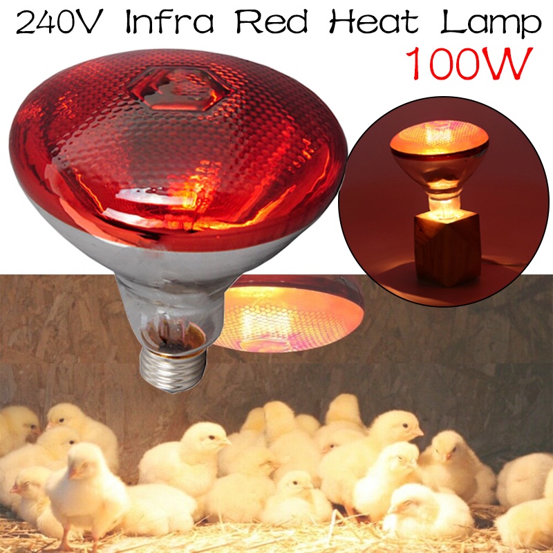 HOT Preservation Heat Lamp Thermal Lamp Red Infrared Short Wave Farm