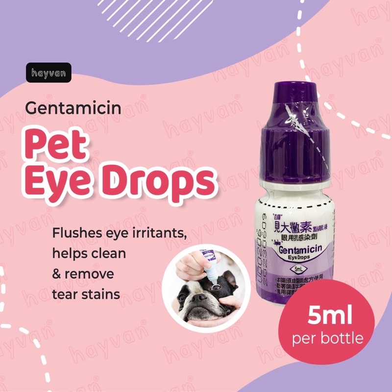 SINPHAR Gentamicin Eye Drops for Pets 5ml Lazada PH