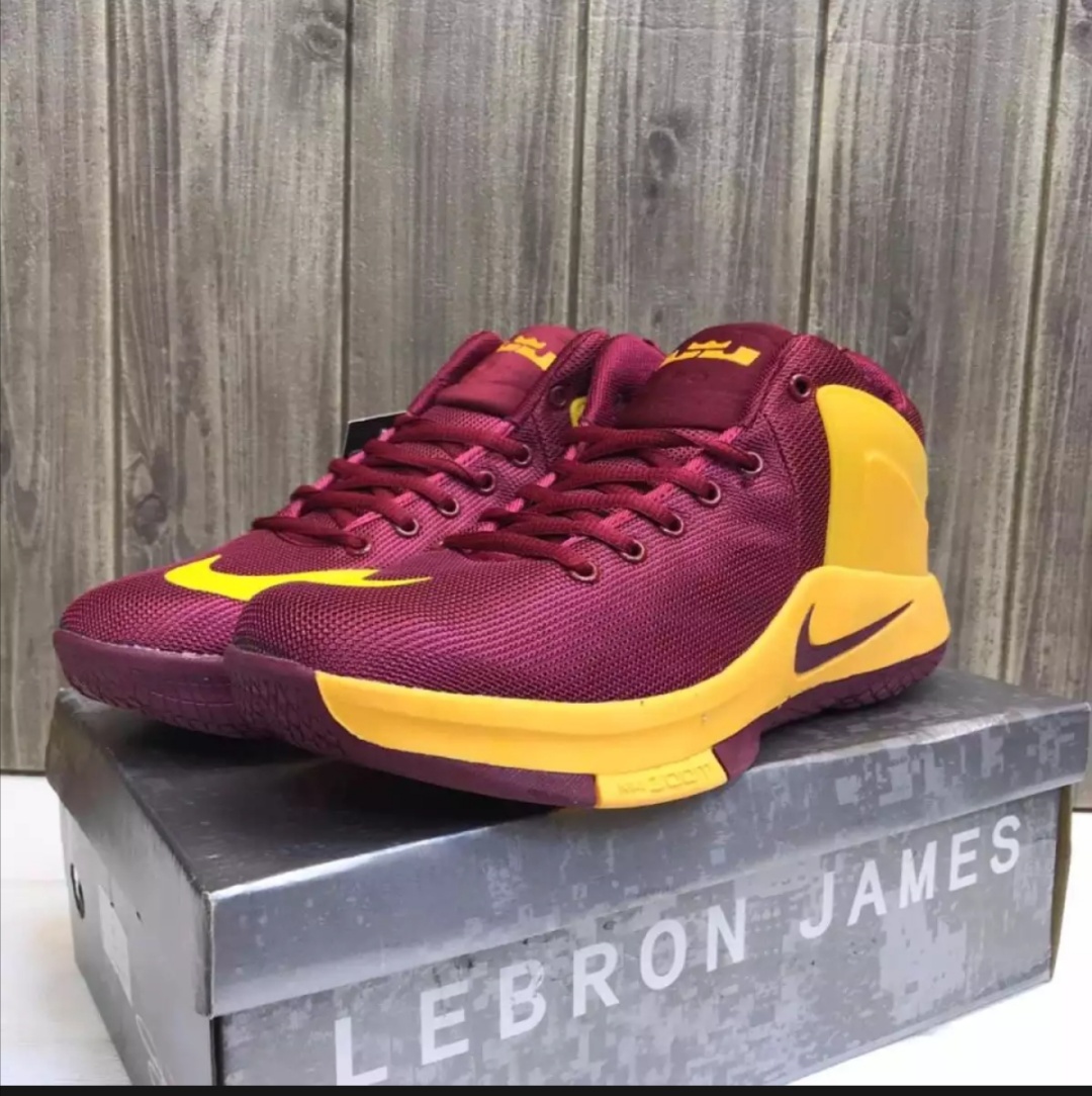 lebron james withness basketball shoes 