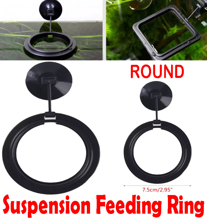 1PC Aquarium Fish Tank FixedPoint Suspension Feeding Ring Goldfish
