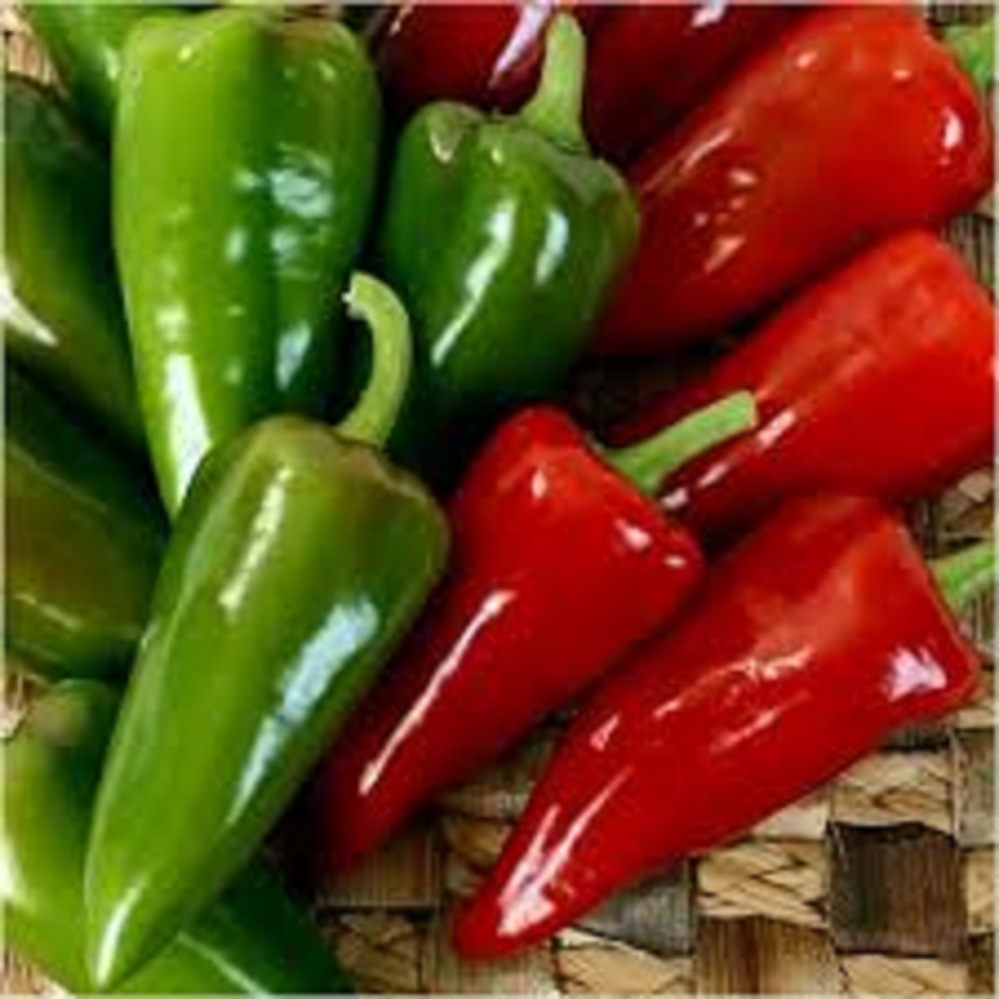 conical-bell-pepper-seeds-for-planting-5-seeds-lazada-ph