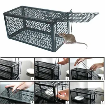 buy mouse trap online