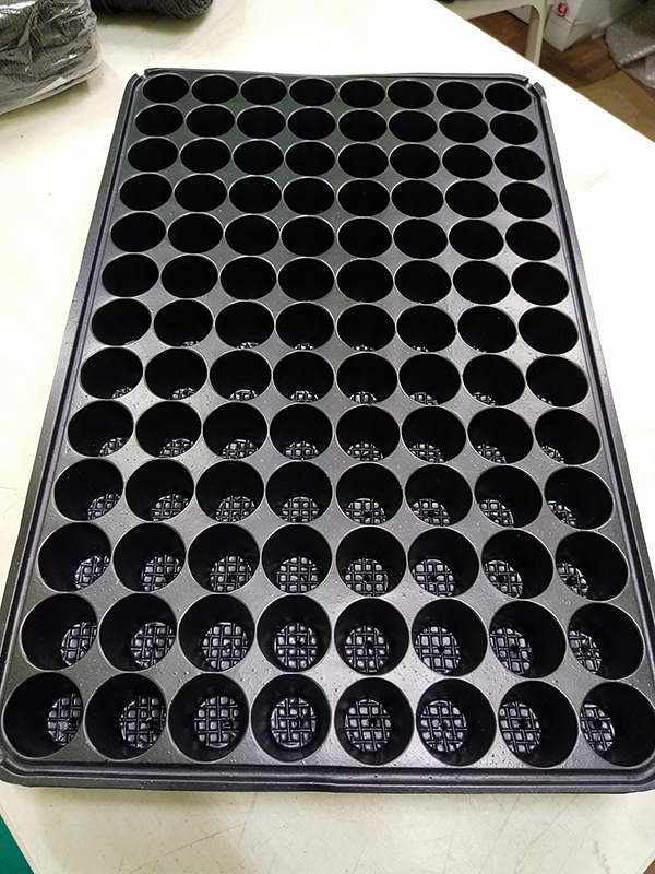 Standard Quality Seedling Tray Planters For Plants 104 Holes 10 Pc Lazada Ph
