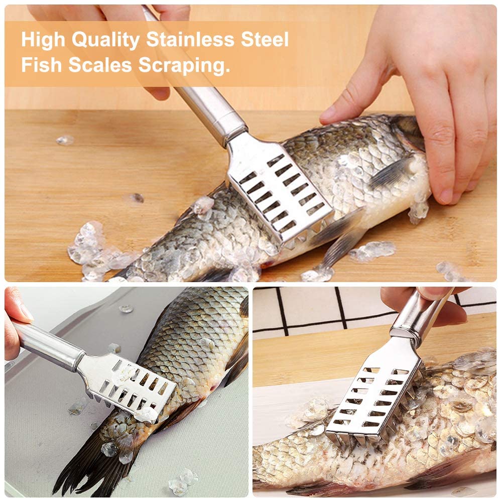 Stainless Steel Fish Scale Remover CK15 Lazada PH