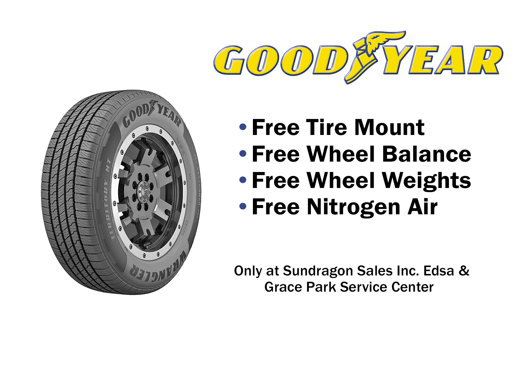 Goodyear 255/65 R18 111H Wrangler Territory HT Tire | Lazada PH